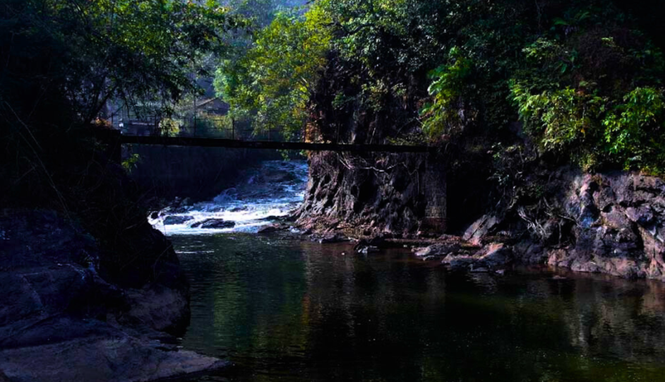 Manambolly Trek Valparai: 16 KM Forest Trek Guide